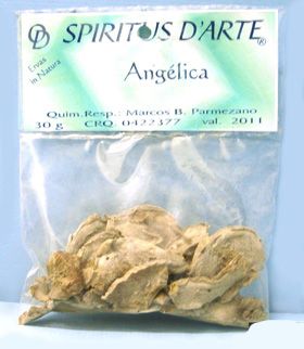 Angelica ( erva pct )
